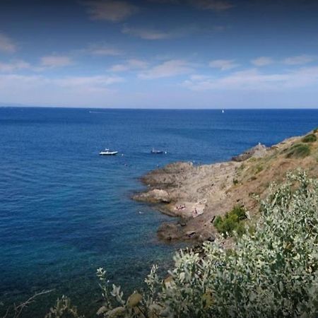 Belleza Del Mar Lägenhet Port Vendres Exteriör bild